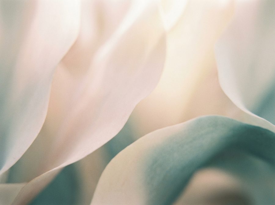Soft dawn light, the Recharge and Renew workshop for carers