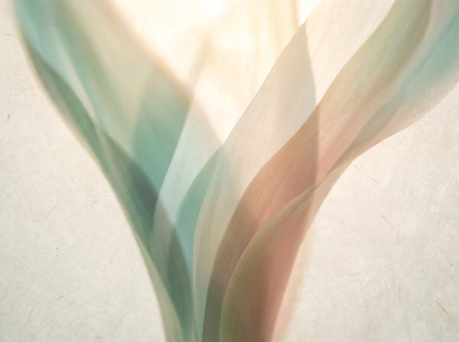 Soft restorative forms, the RecoverWell injury recovery programme
