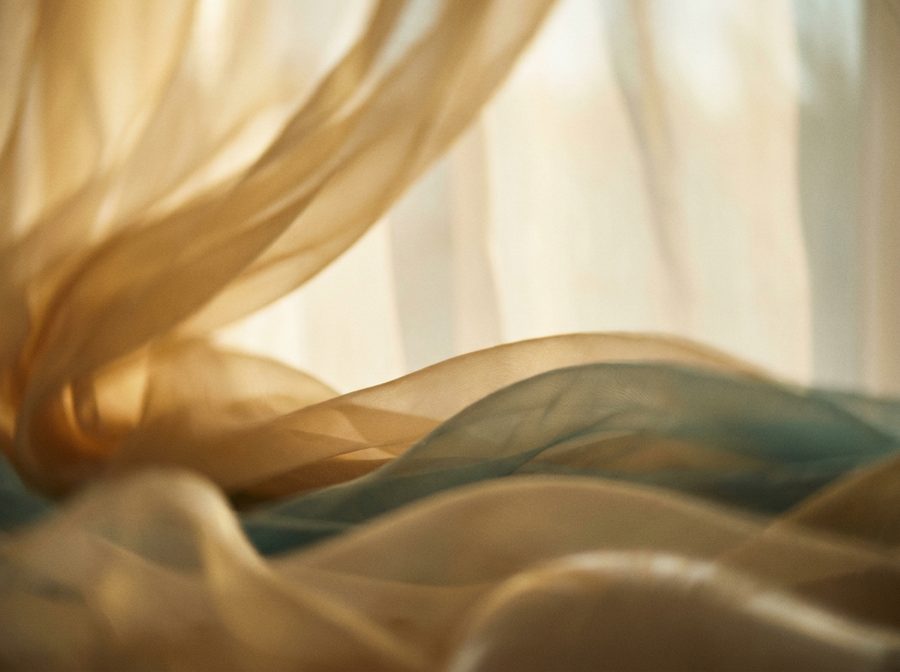 Warm golden light, the Wise and Wonderful senior wellbeing workshop